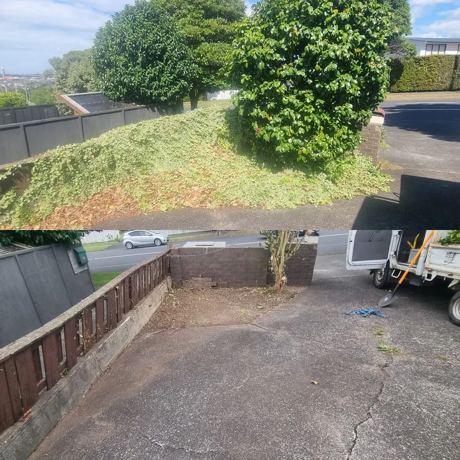 A South Auckland section before and after 0-Nine Lawn Care