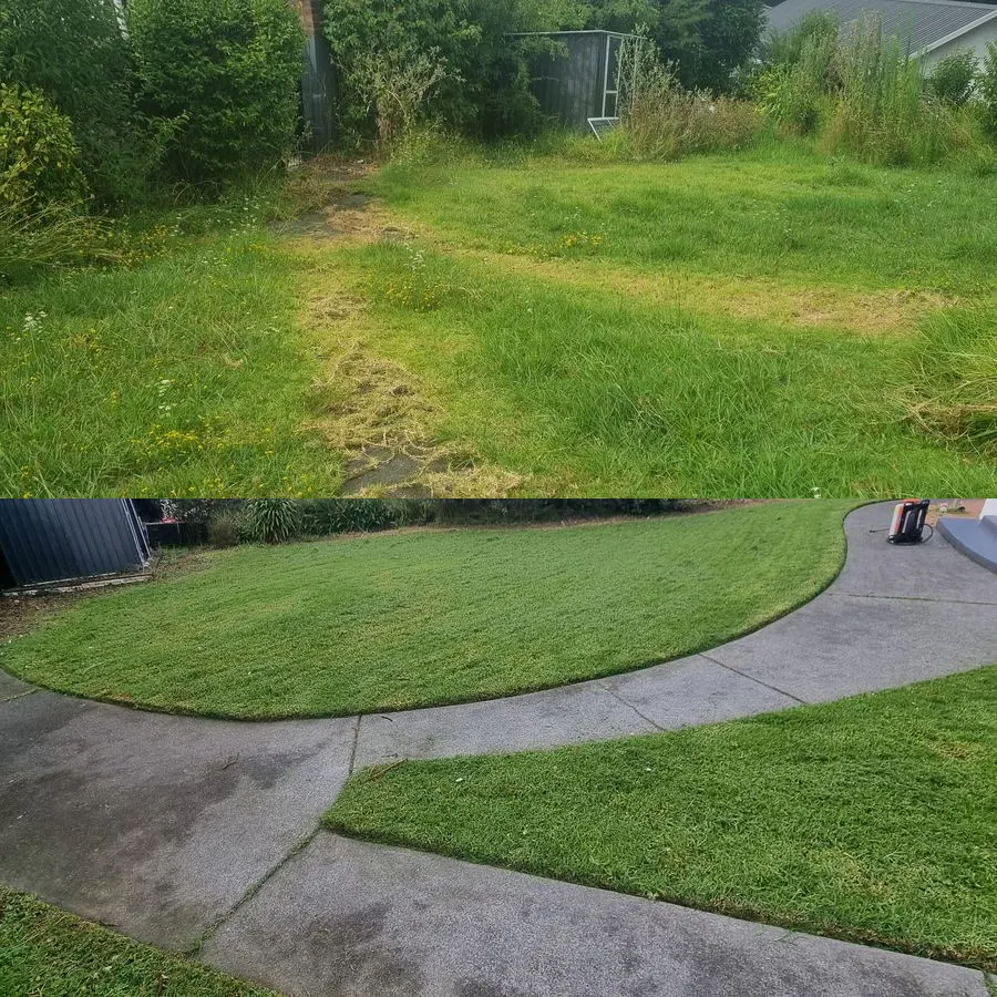 A South Auckland section before and after 0-Nine Lawn Care